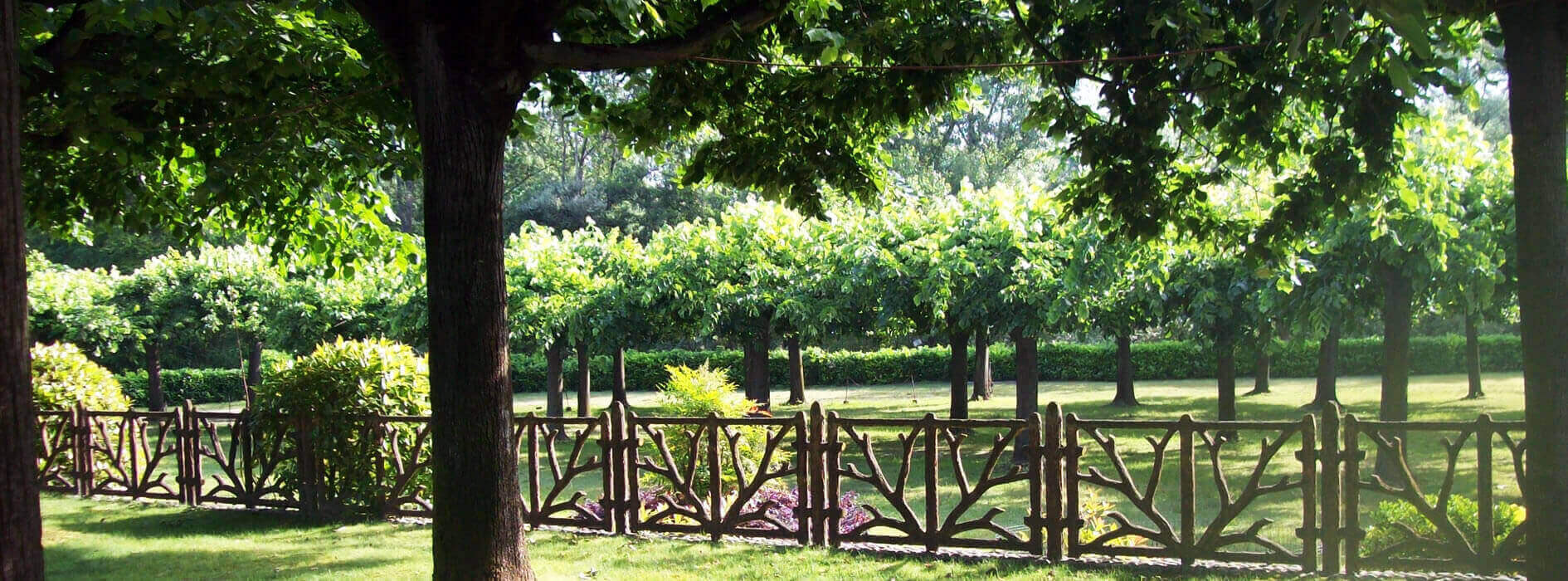 Ristorante Cerano Bar Venezia